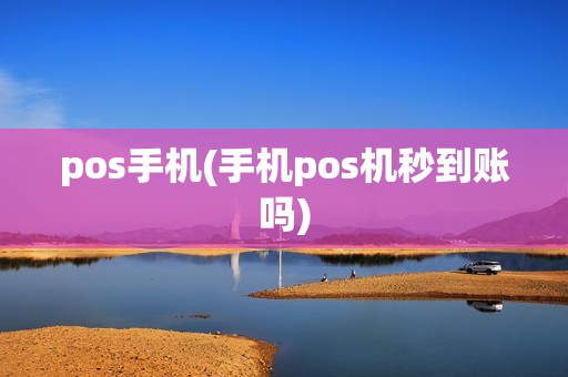 pos手机(手机pos机秒到账吗)