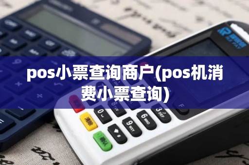 pos小票查询商户(pos机消费小票查询)