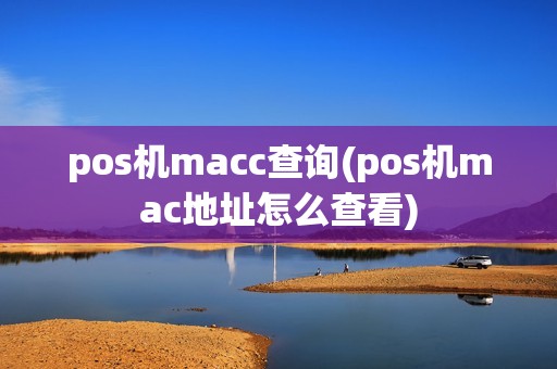 pos机macc查询(pos机mac地址怎么查看)