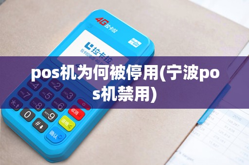 pos机为何被停用(宁波pos机禁用)