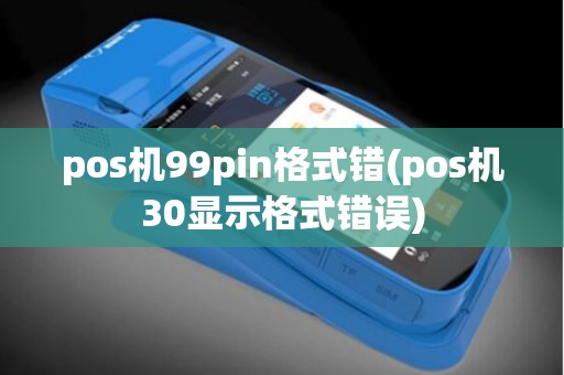 pos机99pin格式错(pos机30显示格式错误)