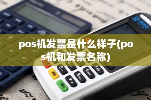 pos机发票是什么样子(pos机和发票名称)