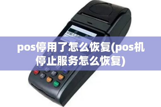 pos停用了怎么恢复(pos机停止服务怎么恢复)