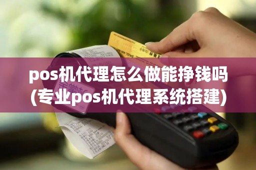 pos机代理怎么做能挣钱吗(专业pos机代理系统搭建)