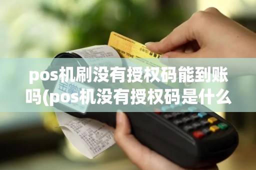 pos机刷没有授权码能到账吗(pos机没有授权码是什么)