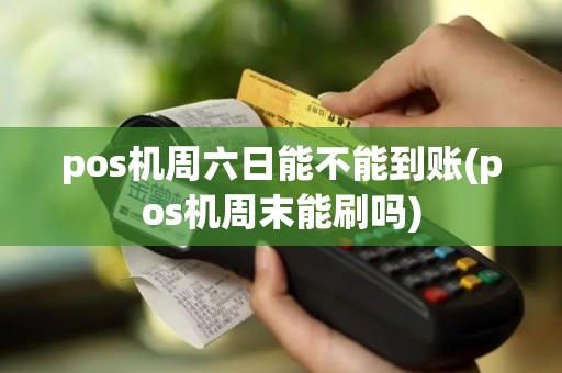 pos机周六日能不能到账(pos机周末能刷吗)