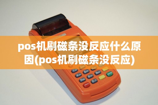 pos机刷磁条没反应什么原因(pos机刷磁条没反应)