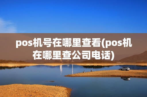pos机号在哪里查看(pos机在哪里查公司电话)
