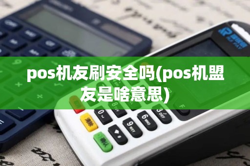 pos机友刷安全吗(pos机盟友是啥意思)
