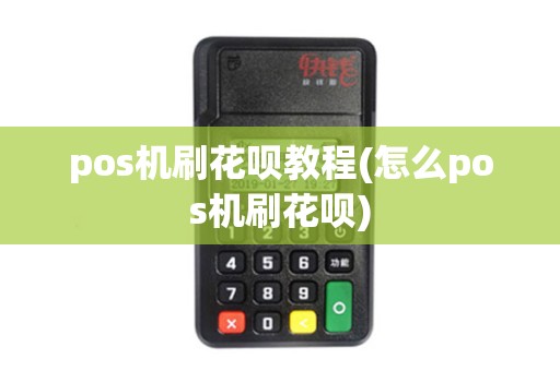 pos机刷花呗教程(怎么pos机刷花呗)