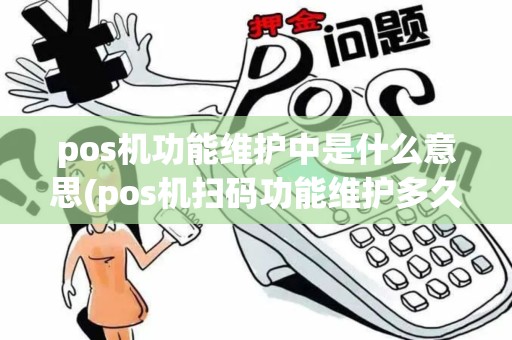 pos机功能维护中是什么意思(pos机扫码功能维护多久)