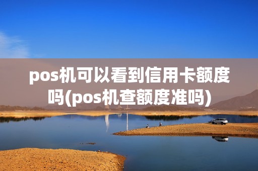 pos机可以看到信用卡额度吗(pos机查额度准吗)