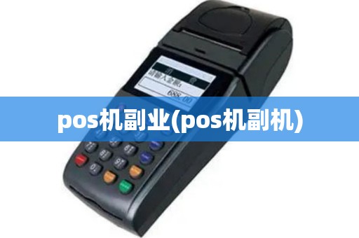 pos机副业(pos机副机)