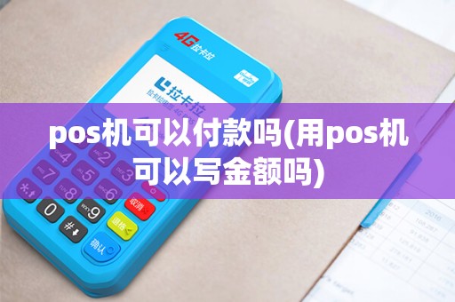 pos机可以付款吗(用pos机可以写金额吗)