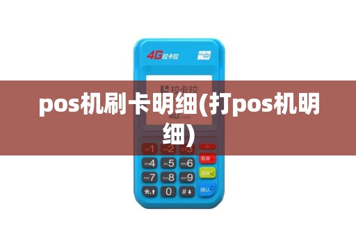 pos机刷卡明细(打pos机明细)