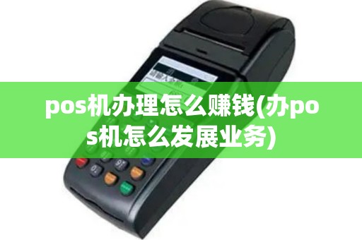 pos机办理怎么赚钱(办pos机怎么发展业务)