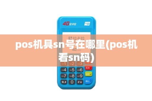 pos机具sn号在哪里(pos机看sn码)