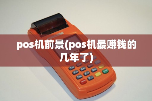 pos机前景(pos机最赚钱的几年了)