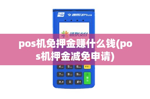 pos机免押金赚什么钱(pos机押金减免申请)