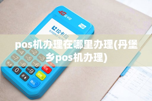pos机办理在哪里办理(丹堡乡pos机办理)