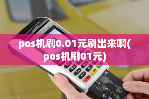 pos机刷0.01元刷出来啊(pos机刷01元)