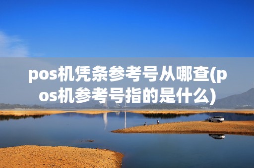 pos机凭条参考号从哪查(pos机参考号指的是什么)