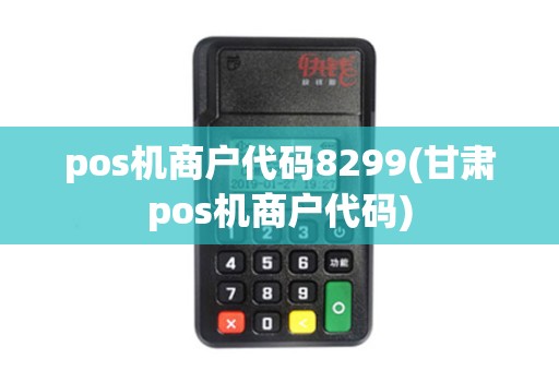 pos机商户代码8299(甘肃pos机商户代码)