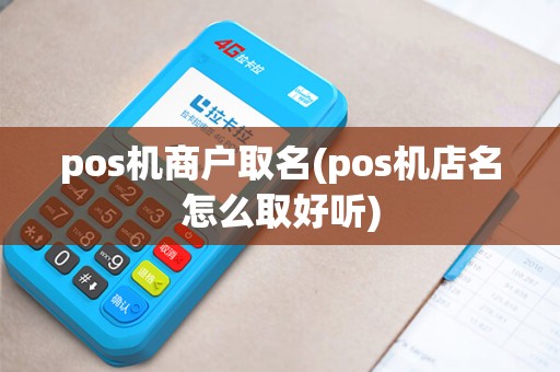 pos机商户取名(pos机店名怎么取好听)
