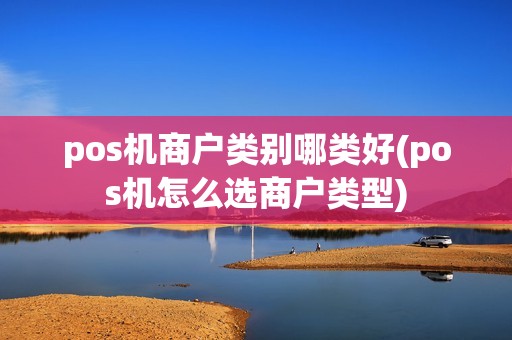 pos机商户类别哪类好(pos机怎么选商户类型)