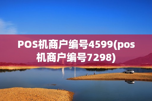 POS机商户编号4599(pos机商户编号7298)