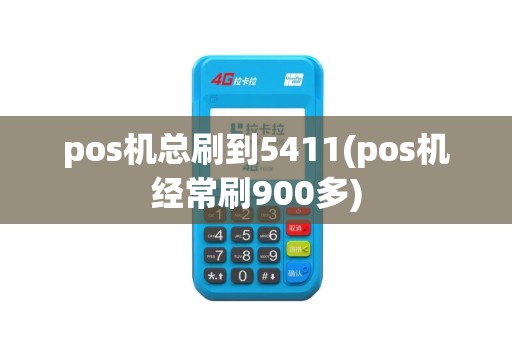 pos机总刷到5411(pos机经常刷900多)