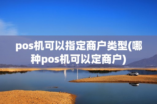 pos机可以指定商户类型(哪种pos机可以定商户)