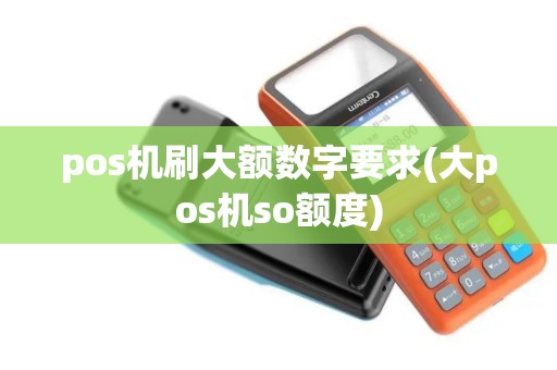 pos机刷大额数字要求(大pos机so额度)