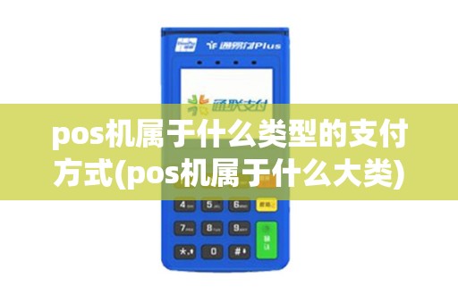 pos机属于什么类型的支付方式(pos机属于什么大类)