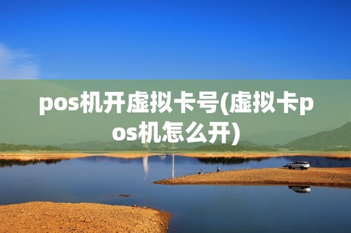 pos机开虚拟卡号(虚拟卡pos机怎么开)