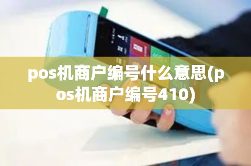 pos机商户编号什么意思(pos机商户编号410)