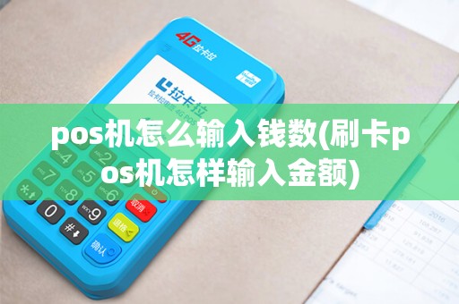 pos机怎么输入钱数(刷卡pos机怎样输入金额)