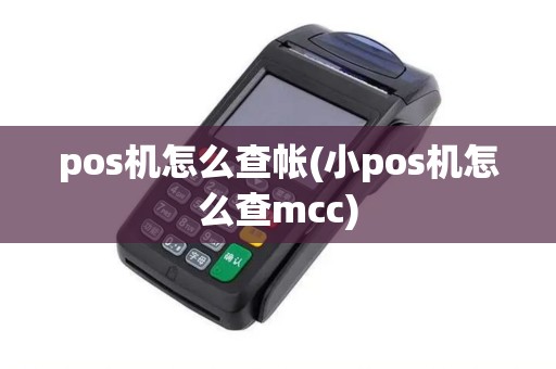 pos机怎么查帐(小pos机怎么查mcc)
