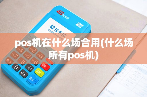pos机在什么场合用(什么场所有pos机)