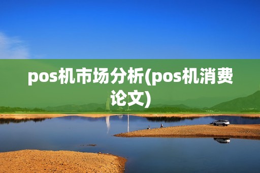 pos机市场分析(pos机消费论文)