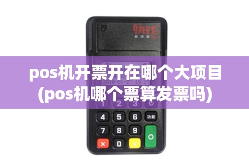 pos机开票开在哪个大项目(pos机哪个票算发票吗)