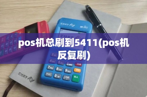 pos机总刷到5411(pos机反复刷)