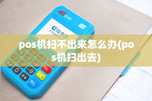 pos机扫不出来怎么办(pos机扫出去)