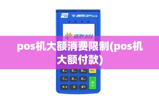 pos机大额消费限制(pos机大额付款)