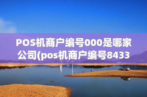 POS机商户编号000是哪家公司(pos机商户编号8433010)