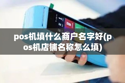pos机填什么商户名字好(pos机店铺名称怎么填)