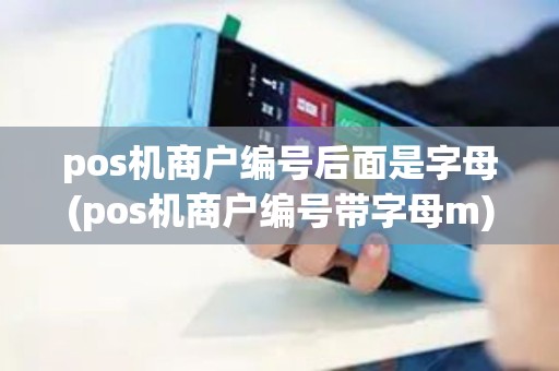 pos机商户编号后面是字母(pos机商户编号带字母m)