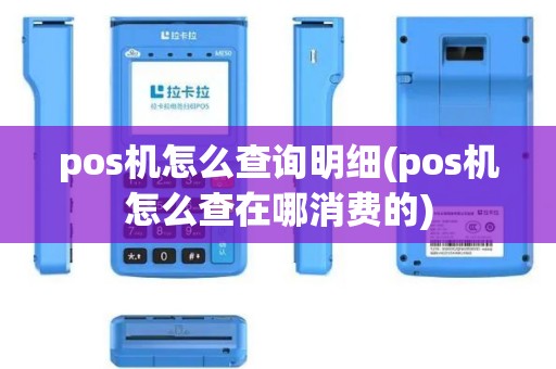 pos机怎么查询明细(pos机怎么查在哪消费的)