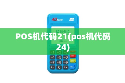 POS机代码21(pos机代码24)