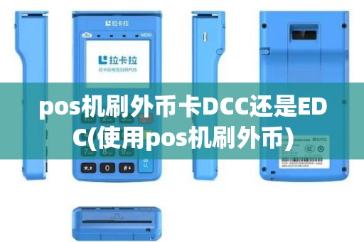 pos机刷外币卡DCC还是EDC(使用pos机刷外币)